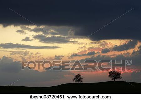 Stock Image - "Trees silhouetted against a sky full of storm clouds, Hirzel, Canton of Zurich, Switzerland, Europe". Fotosearch