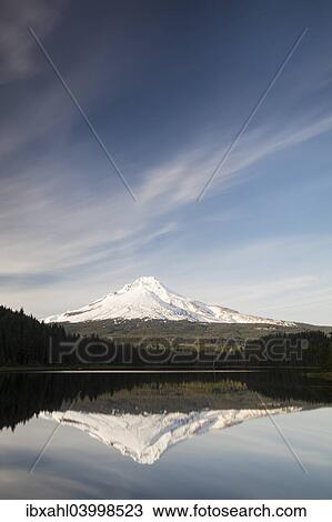 "Trillium Lake with Mount Hood, Clackamas County, Oregon, United States, North America" View Large Photo Image Stock Image - "Trillium Lake with Mount Hood, Clackamas County, Oregon, United States, North America". Fotosearch