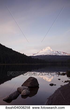 "Trillium Lake with Mount Hood, Clackamas County, Oregon, United States, North America" View Large Photo Image Stock Photo - "Trillium Lake with Mount Hood, Clackamas County, Oregon, United States, North America". Fotosearch