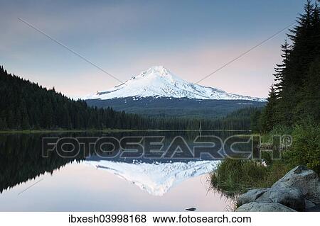 "Trillium Lake with Mount Hood, Government Camp, Oregon, United States, North America" View Large Photo Image Stock Photo - "Trillium Lake with Mount Hood, Government Camp, Oregon, United States, North America". Fotosearch