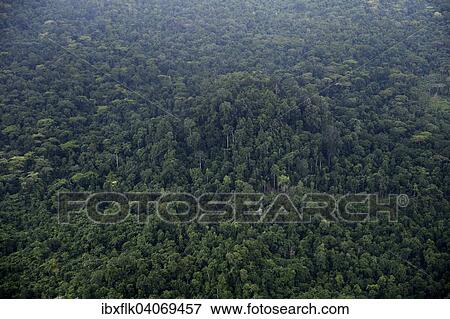 "Tropical Rainforest, Aerial, Simeulue, Indonesia, Asia" View Large Photo Image Stock Photo - "Tropical Rainforest, Aerial, Simeulue, Indonesia, Asia". Fotosearch