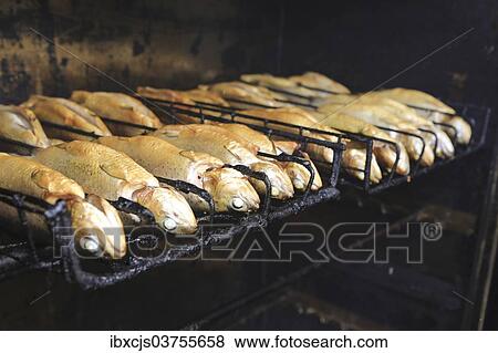 "Trouts are being smoked in a smoker or smokehouse, Bergisches Land, Germany, Europe" View Large Photo Image Stock Photo - "Trouts are being smoked in a smoker or smokehouse, Bergisches Land, Germany, Europe". Fotosearch