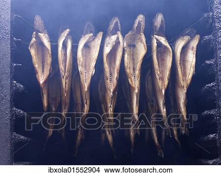 "Trouts on skewers in a smokehouse, Mt Brocken, Harz mountain range, Saxony-Anhalt, Germany, Europe" View Large Photo Image Picture - "Trouts on skewers in a smokehouse, Mt Brocken, Harz mountain range, Saxony-Anhalt, Germany, Europe". Fotosearch