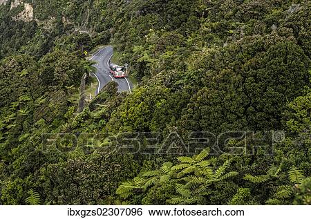 "Truck on a country road in dense rain forest, Paparoa National Park, Punakaiki, South Island, New Zealand, Oceania" View Large Photo Image Stock Photograph - "Truck on a country road in dense rain forest, Paparoa National Park, Punakaiki, South Island, New Zealand, Oceania". Fotosearch