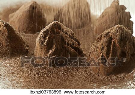 Truffles dusted with cocoa powder View Large Photo Image Stock Photograph - Truffles dusted with cocoa powder. Fotosearch