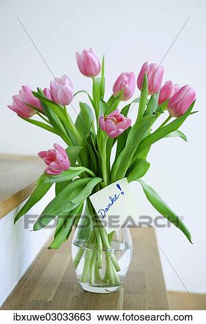 "Tulips in a vase with the note """"danke"""", German for """"thank you"""", Mannheim, Baden-Wurttemberg, Germany, Europe" View Large Photo Image Stock Image - "Tulips in a vase with the note """"danke"""", German for """"thank you"""", Mannheim, Baden-Wurttemberg, Germany, Europe". Fotosearch