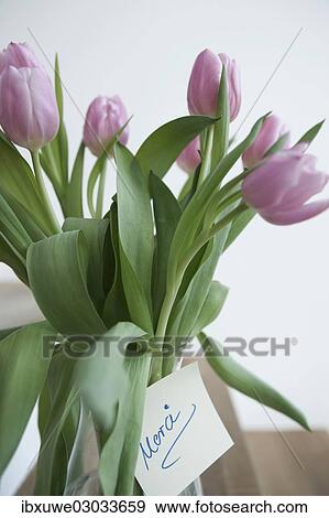 "Tulips in a vase with the note """"Merci"""", Mannheim, Baden-Wurttemberg, Germany, Europe" View Large Photo Image Stock Photo - "Tulips in a vase with the note """"Merci"""", Mannheim, Baden-Wurttemberg, Germany, Europe". Fotosearch