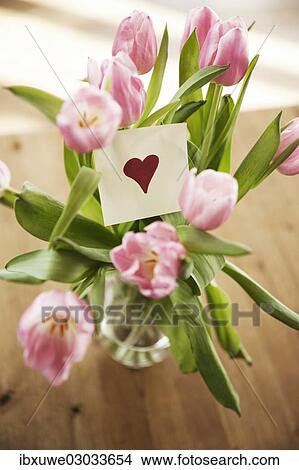 "Tulips in vase, paper note with a heart, Mannheim, Baden-Wurttemberg, Germany, Europe" View Large Photo Image Picture - "Tulips in vase, paper note with a heart, Mannheim, Baden-Wurttemberg, Germany, Europe". Fotosearch