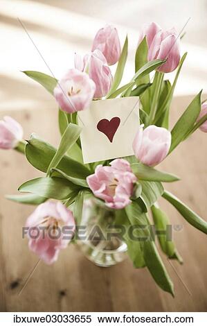 "Tulips in vase, paper note with a heart, Mannheim, Baden-Wurttemberg, Germany, Europe" View Large Photo Image Stock Photography - "Tulips in vase, paper note with a heart, Mannheim, Baden-Wurttemberg, Germany, Europe". Fotosearch
