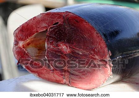 "Tuna for sale at the port, Marseille, Bouches-du-Rhone, Provence-Alpes-Cote d'Azur, France, Europe" View Large Photo Image Stock Photo - "Tuna for sale at the port, Marseille, Bouches-du-Rhone, Provence-Alpes-Cote d'Azur, France, Europe". Fotosearch