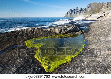 Stock Image - "Tungeneset coastline, Devil's Teeth, Okshornan, Senja, Norway, Europe". Fotosearch