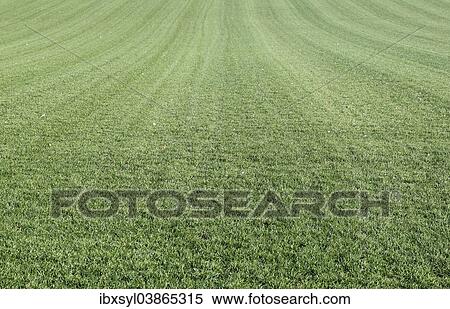 Stock Photography - Turf. Fotosearch