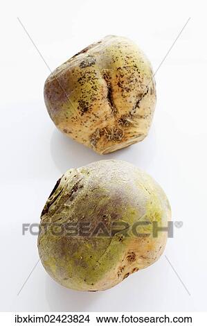 Turnips or swedes View Large Photo Image Picture - Turnips or swedes. Fotosearch