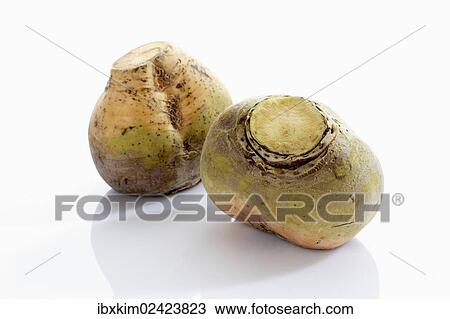Turnips or swedes View Large Photo Image Stock Image - Turnips or swedes. Fotosearch