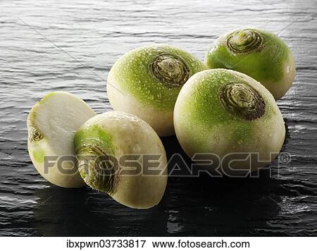 Stock Photo - Turnips. Fotosearch