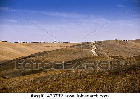 "Tuscan landscape near Pienza, Tuscany, Italy, Europe" View Large Photo Image Stock Image - "Tuscan landscape near Pienza, Tuscany, Italy, Europe". Fotosearch