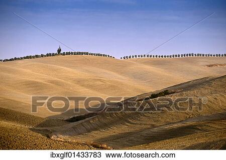 "Tuscan landscape near Pienza, Tuscany, Italy, Europe" View Large Photo Image Stock Image - "Tuscan landscape near Pienza, Tuscany, Italy, Europe". Fotosearch