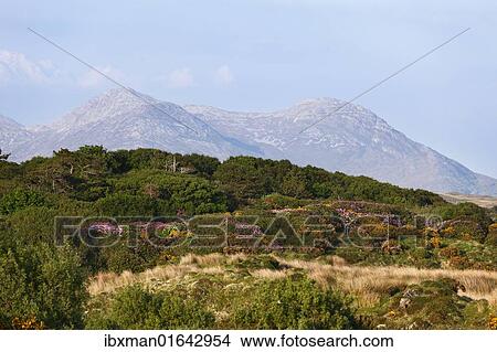 "Twelve Pins, view from Bellanaboy, Connemara, County Galway, Republic of Ireland, Europe" View Large Photo Image Picture - "Twelve Pins, view from Bellanaboy, Connemara, County Galway, Republic of Ireland, Europe". Fotosearch