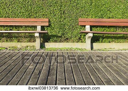 Two benches in front of a green hedge View Large Photo Image Stock Photograph - Two benches in front of a green hedge. Fotosearch