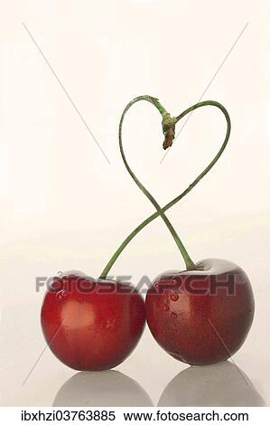 "Two cherries, stems intersecting and forming a heart shape" View Large Photo Image Stock Photography - "Two cherries, stems intersecting and forming a heart shape". Fotosearch