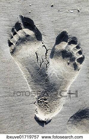 Two footprints in the sand on a beach View Large Photo Image Stock Photo - Two footprints in the sand on a beach. Fotosearch