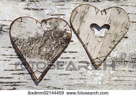 Stock Photo - Two hearts made of birch bark on birch bark. Fotosearch