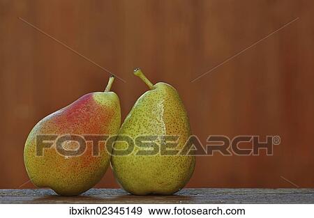 Two pears on a old wooden table View Large Photo Image Stock Photo - Two pears on a old wooden table. Fotosearch