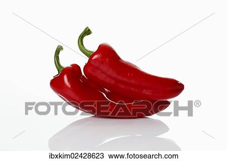 Two red peppers (Capsium) View Large Photo Image Stock Image - Two red peppers (Capsium). Fotosearch
