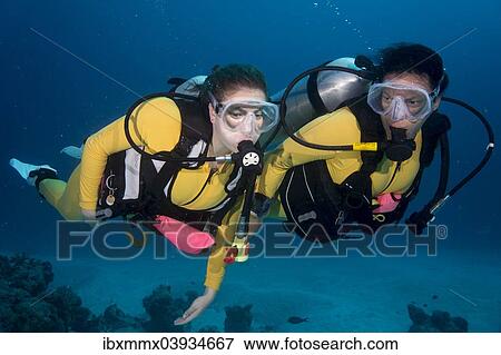 Stock Photo - "Two scuba divers in a coral reef, Palau, Oceania". Fotosearch