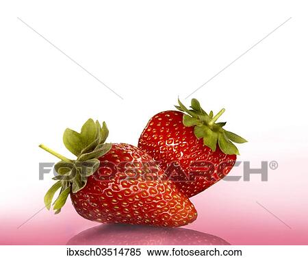 "Two strawberries on pink, Bavaria, Germany, Europe" View Large Photo Image Stock Photography - "Two strawberries on pink, Bavaria, Germany, Europe". Fotosearch