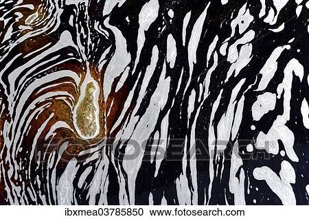 Stock Image - "Typical foam structures on a blackwater river, Chapada Diamantina, Bahia, Brazil, South America". Fotosearch