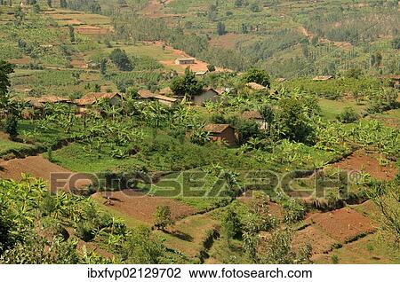 "Typical hilly landscape near Busengo, Rwanda, Africa" View Large Photo Image Stock Image - "Typical hilly landscape near Busengo, Rwanda, Africa". Fotosearch