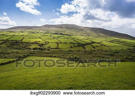 Stock Image - "Typical hilly landscape with cloudy sky, Dingle, Dingle Peninsula, County Kerry, Republic of Ireland, Europe". Fotosearch