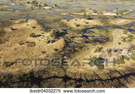 Stock Photography - "Typical landscape of freshwater marshes with streams, channels and islands, aerial view, Okavango Delta, Botswana, Africa". Fotosearch