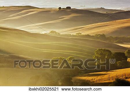 "Typical Tuscan landscape near San Quirico d'Orcia, Val d'Orcia region, early morning mist, Tuscany, Italy, Europe" View Large Photo Image Stock Image - "Typical Tuscan landscape near San Quirico d'Orcia, Val d'Orcia region, early morning mist, Tuscany, Italy, Europe". Fotosearch