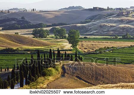 "Typical Tuscan landscape near Taverne d'Arbia, Tuscany, Italy, Europe" View Large Photo Image Stock Photo - "Typical Tuscan landscape near Taverne d'Arbia, Tuscany, Italy, Europe". Fotosearch