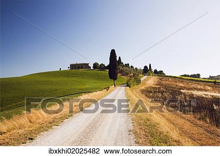 Stock Image - "Typical Tuscan landscape with a cypress (Cupressus), near Ville de Corsano, Tuscany, Italy, Europe". Fotosearch