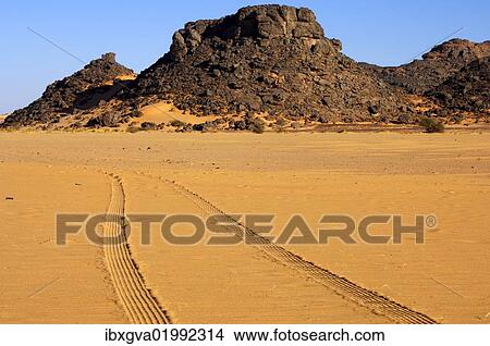 "Tyre tracks in the desert sand, Sahara, Libya, North Africa, Africa" View Large Photo Image Picture - "Tyre tracks in the desert sand, Sahara, Libya, North Africa, Africa". Fotosearch