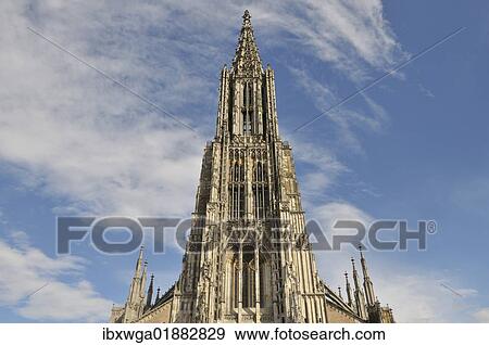 "Ulmer Muenster church, Ulm Minster, 161. 53m, tallest church tower in the world, Muensterplatz square, Ulm, Baden-Wuerttemberg, Germany, Europe" View Large Photo Image Stock Photo - "Ulmer Muenster church, Ulm Minster, 161. 53m, tallest church tower in the world, Muensterplatz square, Ulm, Baden-Wuerttemberg, Germany, Europe". Fotosearch