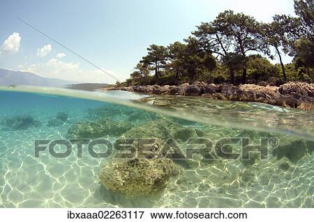 Stock Photo - "Underwater landscape, Cleopatra island, Aegean Sea, Turkey, Asia". Fotosearch