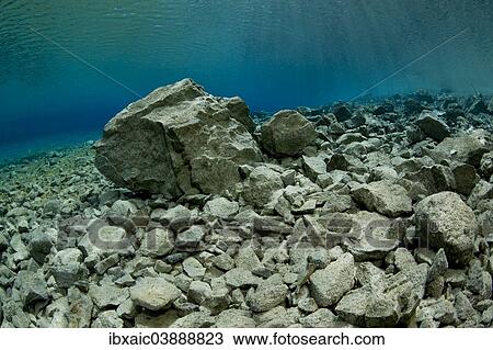 "Underwater view, Gruner See lake, Tragoss, Hochschwab, Styria, Austria, Europe" View Large Photo Image Stock Image - "Underwater view, Gruner See lake, Tragoss, Hochschwab, Styria, Austria, Europe". Fotosearch