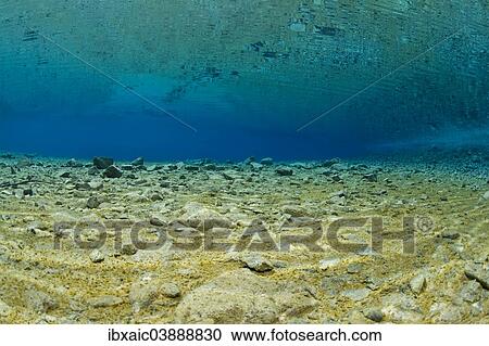 Stock Image - "Underwater view, Gruner See lake, Tragoss, Hochschwab, Styria, Austria, Europe". Fotosearch