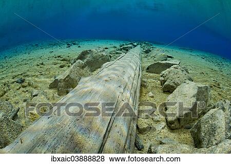 Stock Photo - "Underwater view, Gruner See lake, Tragoss, Hochschwab, Styria, Austria, Europe". Fotosearch