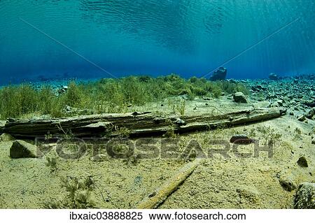 Stock Photography - "Underwater view, Gruner See lake, Tragoss, Hochschwab, Styria, Austria, Europe". Fotosearch