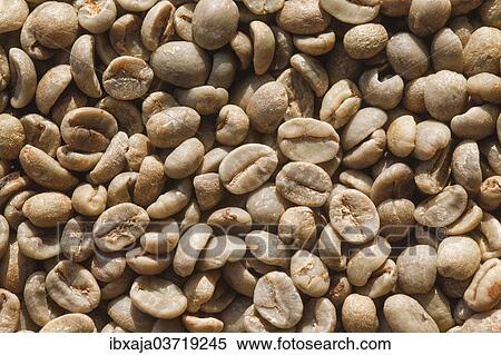 "Unroasted coffee beans, Germany, Europe" View Large Photo Image Stock Photography - "Unroasted coffee beans, Germany, Europe". Fotosearch