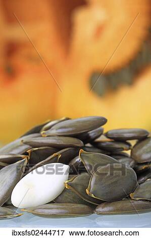 Stock Photo - Unshelled and shelled seeds in front of pulp from the Styrian Oil Pumpkin. Fotosearch