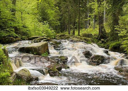 "Unterer Bodefall cascade in the Warme Bode mountain river, Braunlage, Harz, Lower Saxony, Germany, Europe" View Large Photo Image Stock Image - "Unterer Bodefall cascade in the Warme Bode mountain river, Braunlage, Harz, Lower Saxony, Germany, Europe". Fotosearch