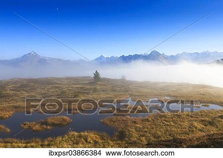 "Upland moor in the fog, Tyrol, Austria, Europe" View Large Photo Image Picture - "Upland moor in the fog, Tyrol, Austria, Europe". Fotosearch