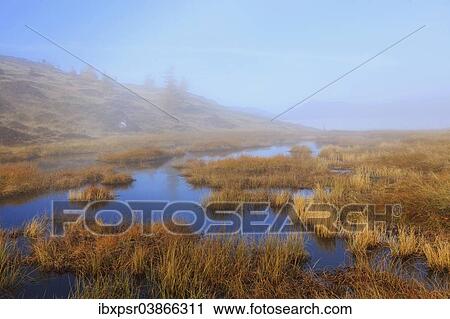 "Upland moor in the fog, Tyrol, Austria, Europe" View Large Photo Image Stock Image - "Upland moor in the fog, Tyrol, Austria, Europe". Fotosearch