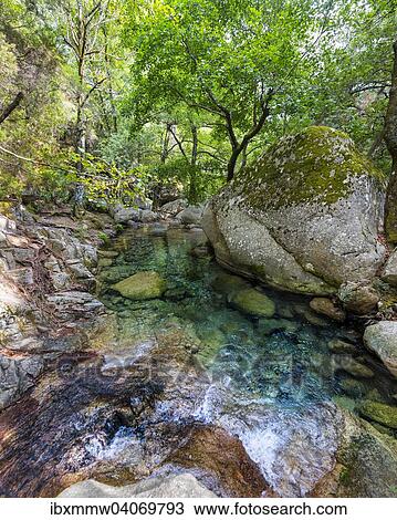 "Upper course of the river Solenzara, large churn hole in the forest, Corsica, France, Europe" View Large Photo Image Stock Image - "Upper course of the river Solenzara, large churn hole in the forest, Corsica, France, Europe". Fotosearch